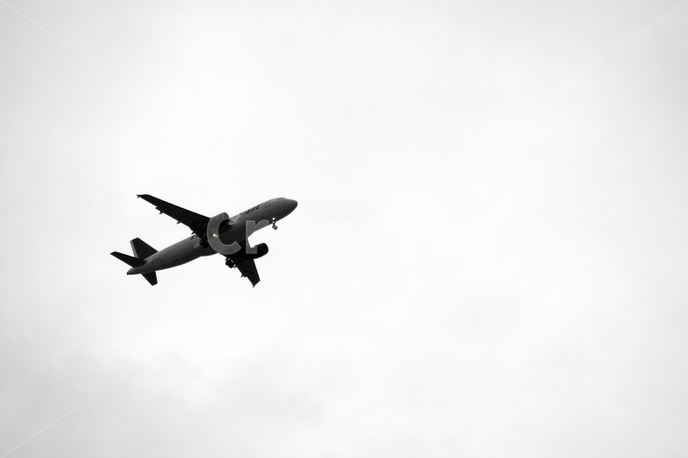 비행기,교통,airplane,항공기,transportation,aircraft,flying,흑백,noiretblanc,黑白,black,white,one,1,비행,fl비행기,flight,모노톤,monochrome,모노크롬,monotone,minimal,simple,minimalisme,minimalimage