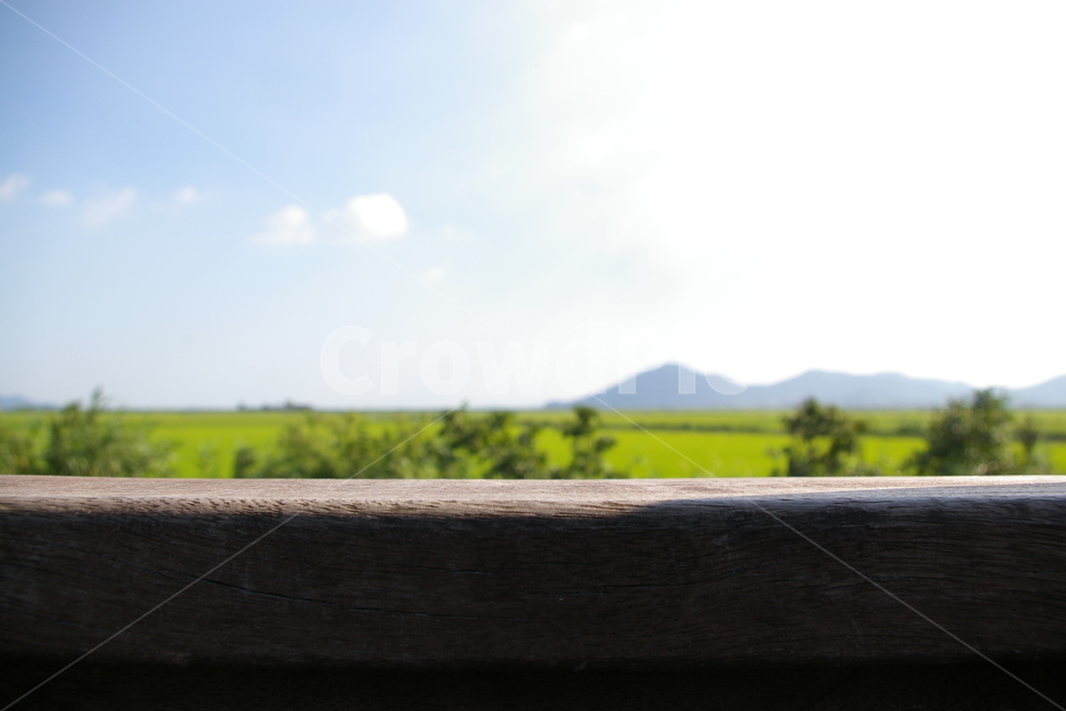 산,들,하늘,나무,배경,여름,아웃포커스,자연,풍경,nature,landscape,wood