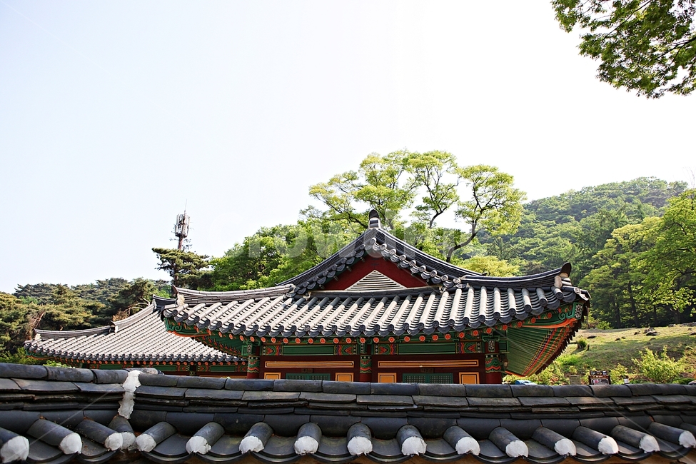 전등사,절,전통,집,기와,풍경,자연,배경