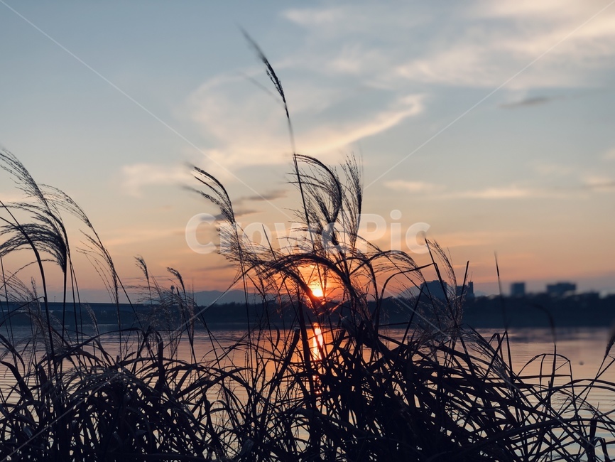 nature,자연,outdoors,옥외,sky,redsky,일몰,sunset,하늘,붉은하늘,dusk,황혼,dawn,새벽,빛,light,플레어,flare
