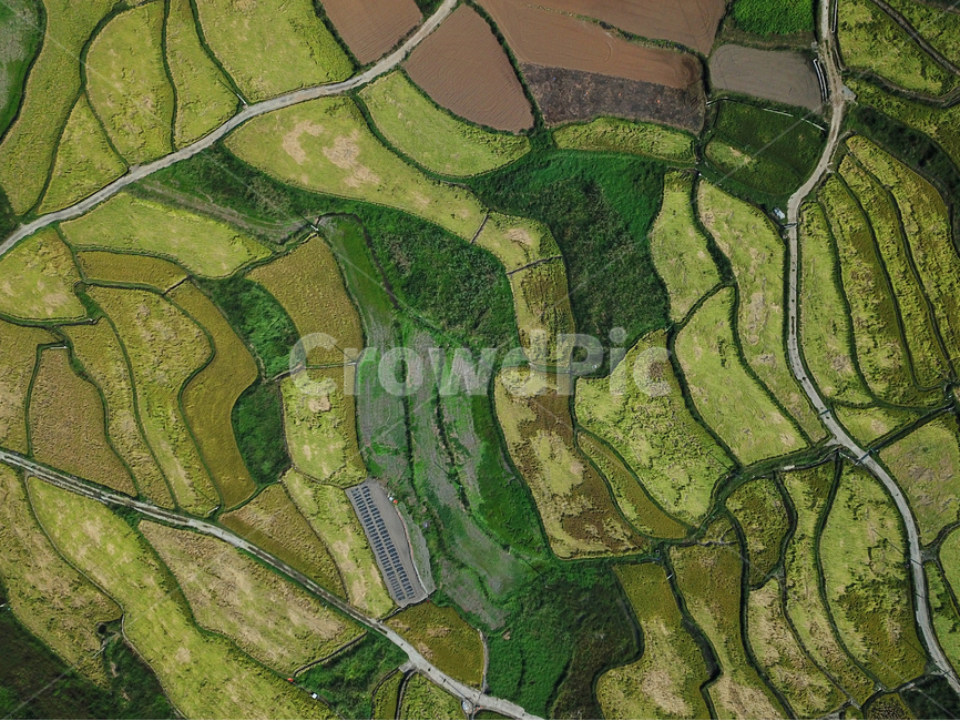 grassland,목초지,field,들,farm,농장,rural,농촌,meadow,ricepaddy,논,쌀,다랭이논,landscape,경치,scenery,풍경,nature,자연,산업,industry,industrial,농업,농사,agriculture,farming,farming industry