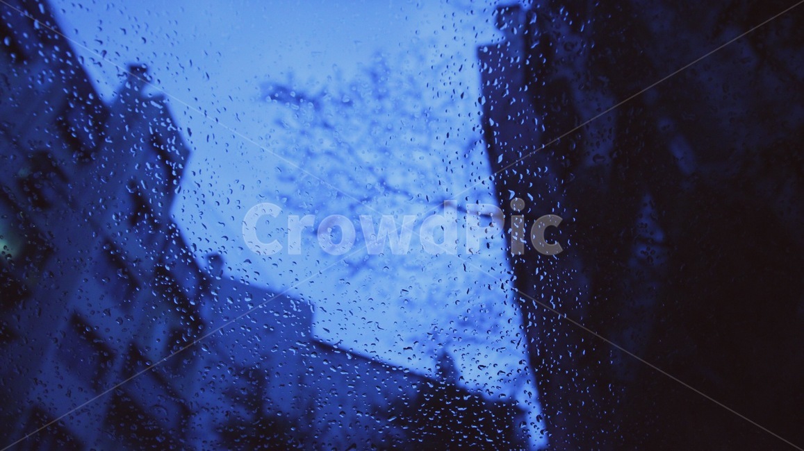 창밖,비,여름,감성,장마,호우,호우주의보,빗속,우산,빗소리,빗방울,비,비오는날,rain,rainy