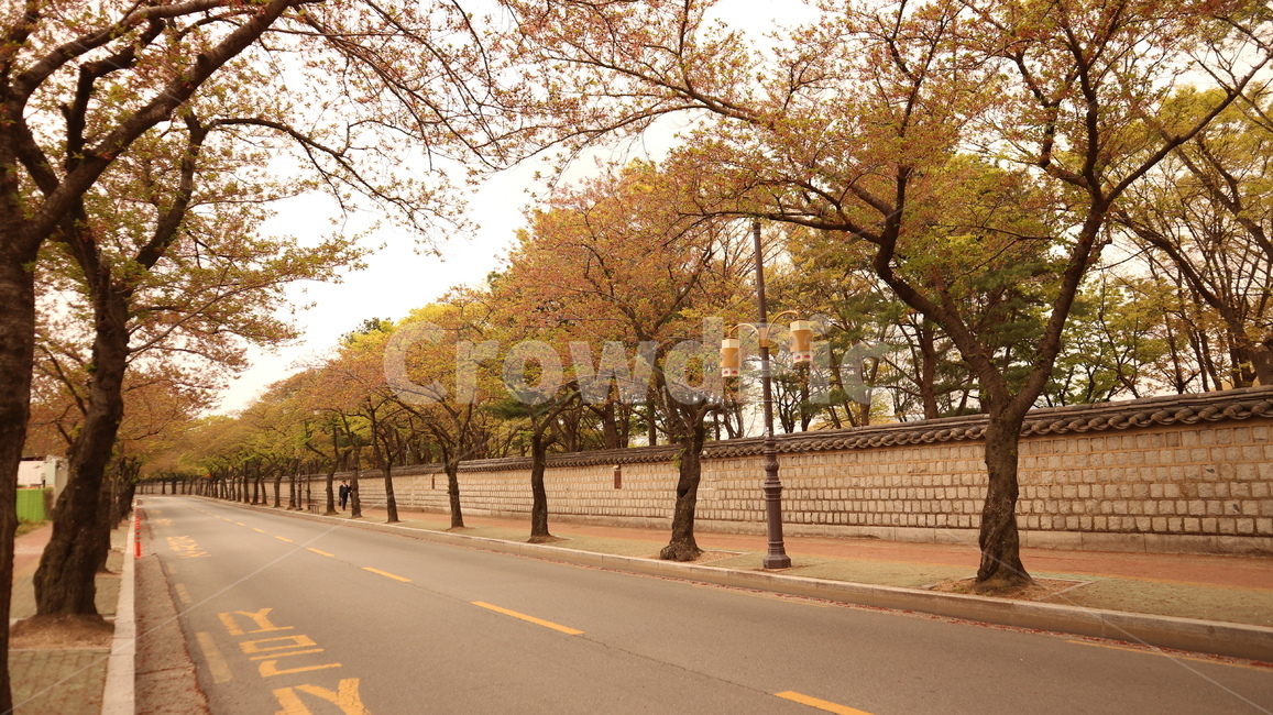 봄,돌담길,대릉원,감성사진,한적함,spring