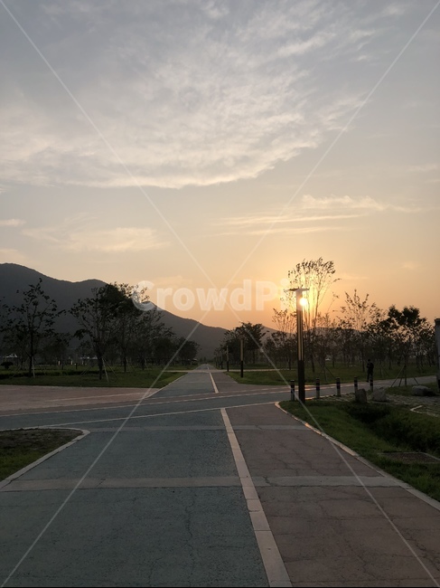 아스팔트,road,도로,공원,길,노을,나무,구름,sunset,cloud,하늘
