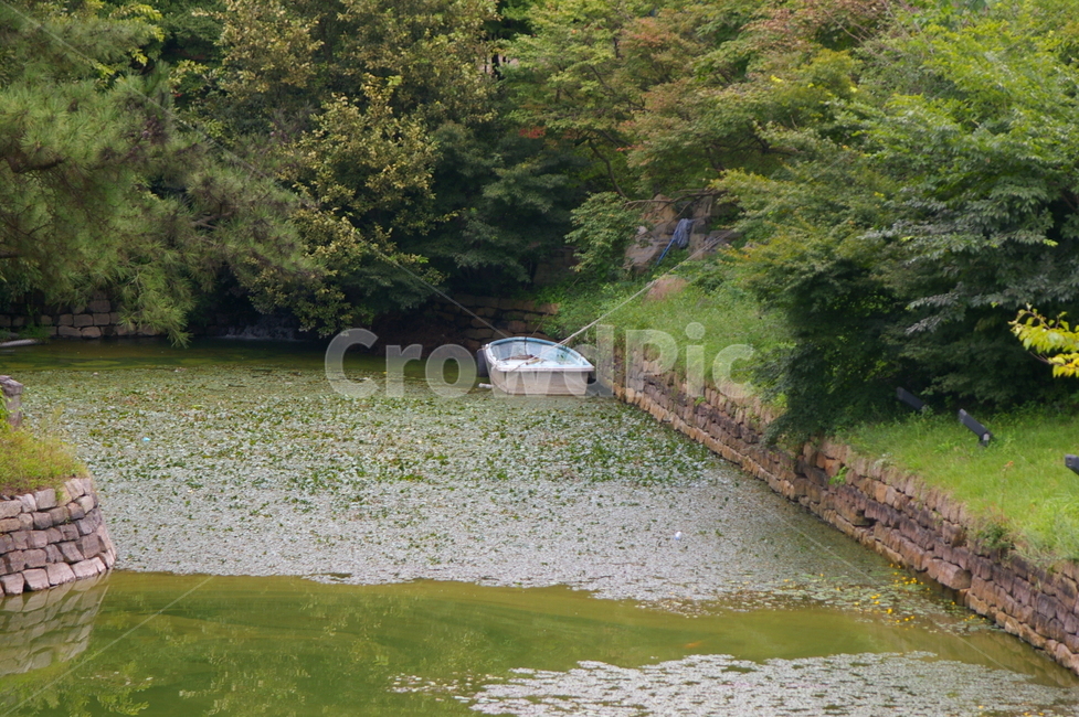 경주,풍경,자연,야외,옥외,가을,boat,보트,water,물,watercraft,선박,outdoors,자연,풍경,nature,landscape