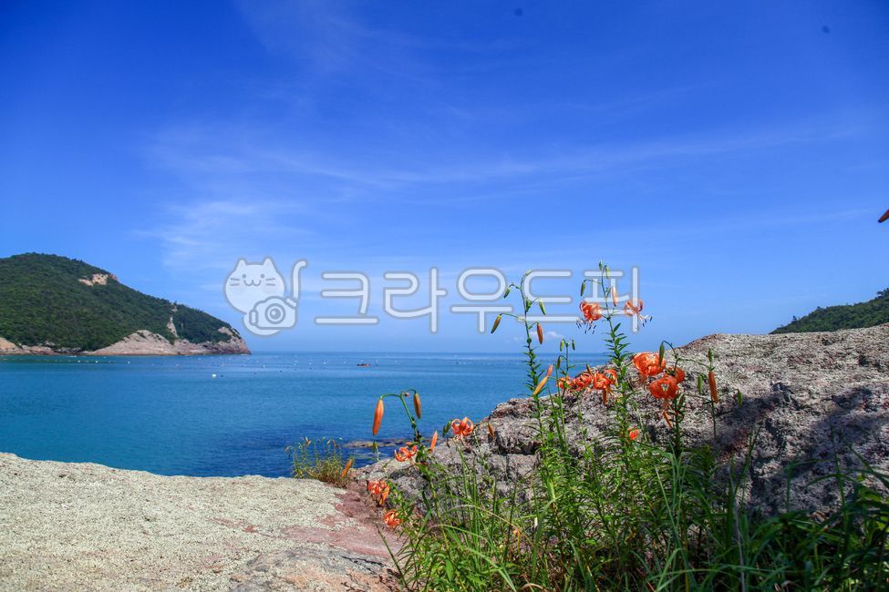 sky,headland,nature,island,water,summer,sea,flower,rock,promontory,outdoors,ocean,Lily of the valley,magnitude