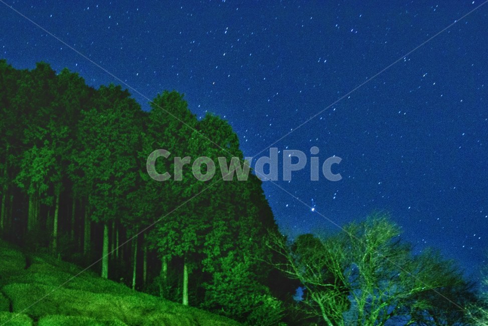 별,하늘,산,자연,풍경,밤하늘,야경,nightview,night,landscape,자연,풍경,nature,landscape,야경,밤,nightscape,night,outdoors,옥외