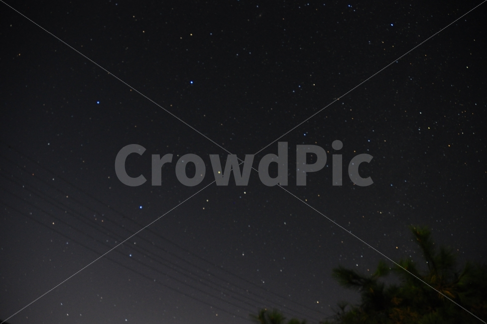 가평,밤,하늘,별,나무,은하수,sky,star,night,tree,자연,풍경,nature,landscape,야경,밤,nightscape,night,outdoors,옥외,outer space,대기권 밖,universe,우주,astronomy,천문학,starry sky,별이 빛나는 하늘