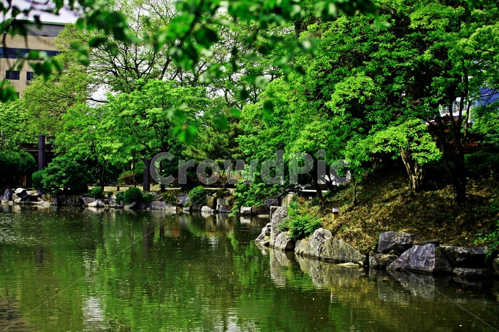 물,저수지,자연,나무,풍경,자연,풍경,nature,landscape