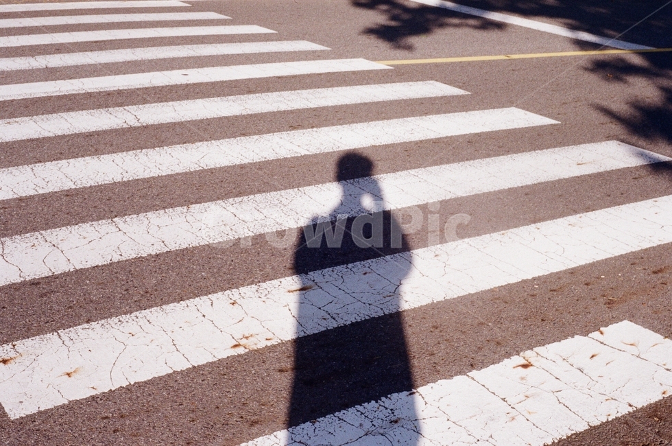 횡단보도,crosswalk,그림자,도로,road,필름사진,필름카메라