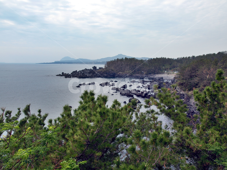 바다,올레8코스,올레길,제주,서귀포시,바당길,자연,풍경,nature,landscape,제주도,jeju,jeju island,outdoors,옥외,land,땅,water,물,shoreline,해안선,promontory,곶,sea,ocean,대양,coast,연안
