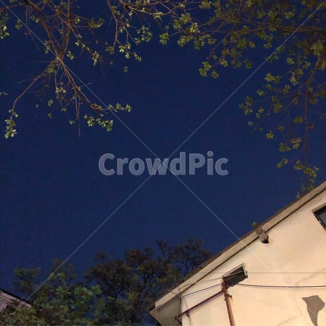 밤하늘,하늘,sky,여름하늘,어두운하늘,nightsky