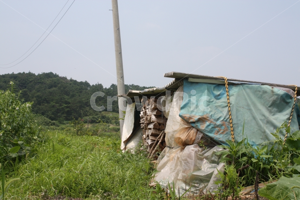 풍경,시골,배경,그린,자연,시골,마을,풍경,landscape,country,rural,town