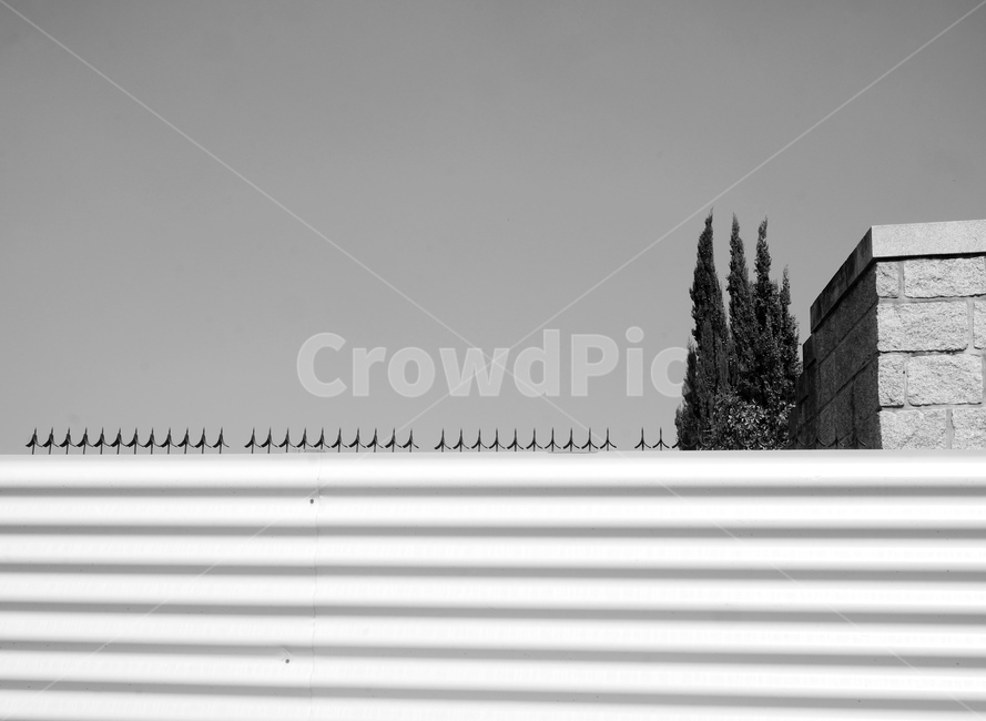 기하학,선,ligne,line,기하학무늬,나무,tree,plant,식물,geometry,흑백,noiretblanc,黑白,black,white,패턴,사이프러스나무,사이프러스,모노톤,monochrome,모노크롬,monotone,minimal,simple,minimalisme,minimalimage,담