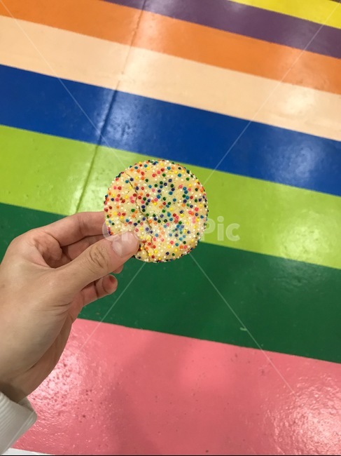 컬러팩토리,쿠키,손,컬러,다채로운,무지개,과자,스낵,간식,cookie,snack,colorfactory,hand,vivid,rainbow,dessert