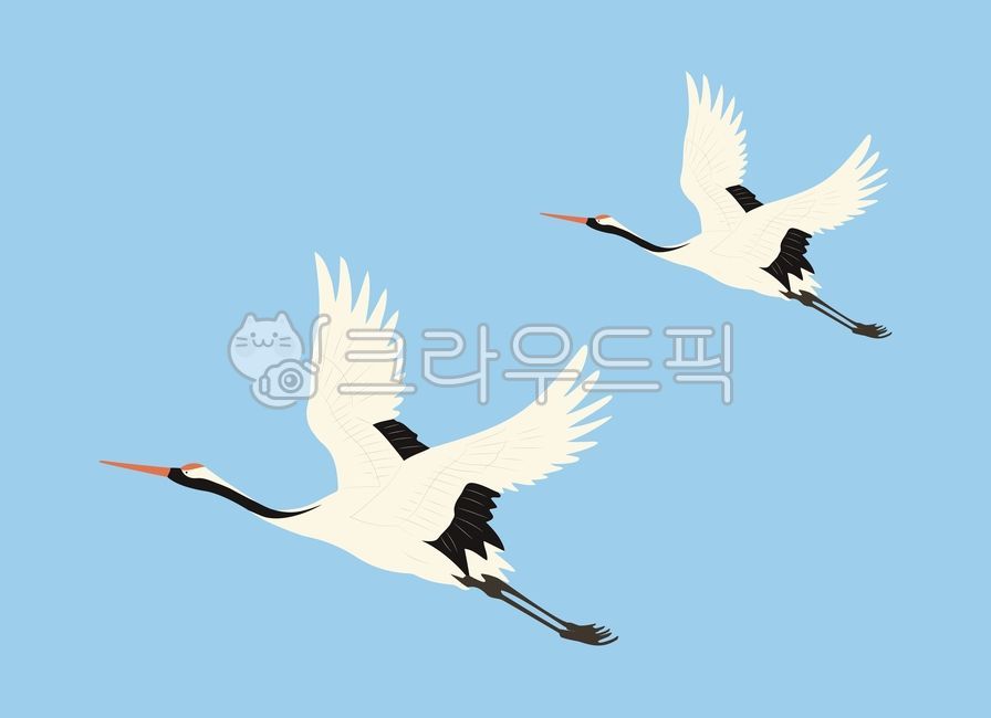 두루미, 학, 한쌍, 신년, 새해, 사진,이미지,일러스트,캘리그라피 - JuDesign작가