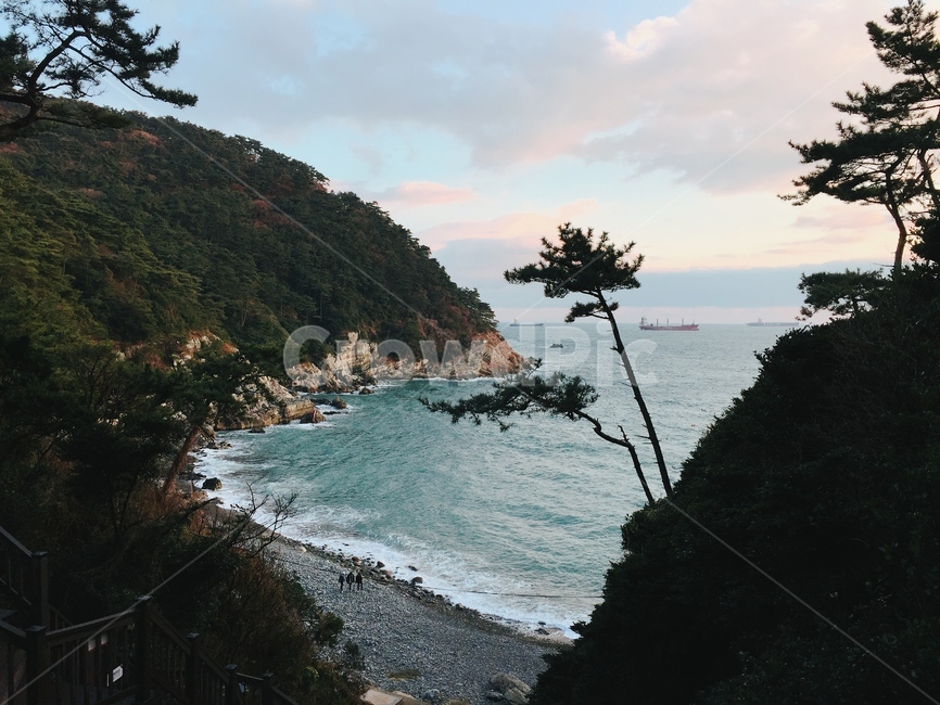 바다,부산,절경,풍경,나무