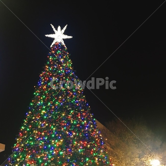 크리스마스,트리,나무,밤,별,christmas,tree,night,star,기념일,축하,anniversary,congratulation,celebrate,celebration,메리크리스마스,성탄절,merry christmas