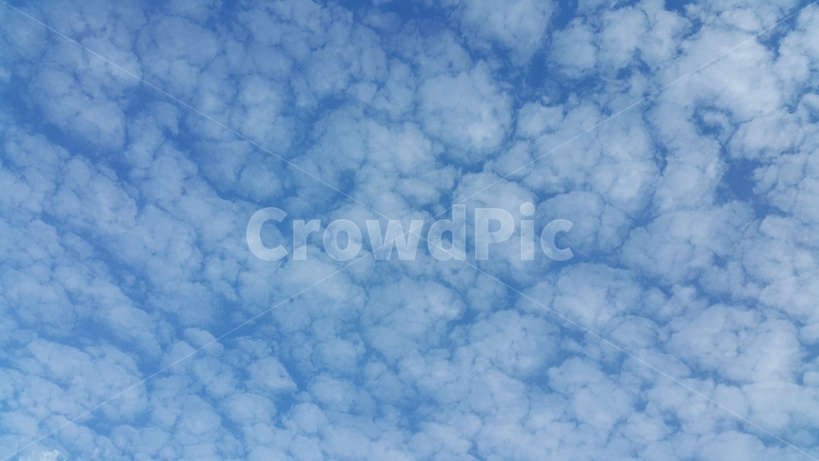 구름,하늘,조각구름,특이한구름,지진운,푸른하늘,맑은날,낮,화창한,여름,봄,clouds,sky,sculptureclouds,unusualclouds,earthquakeluck,bluesky,clearday,daytime,sunny,summer,spring,자연,풍경,nature,landscape,outdoors,옥외,azure sky,푸른 하늘,cloud