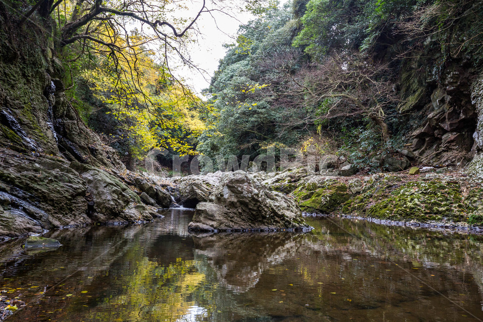 안덕계곡,계곡,제주도,풍경,landscape,자연,풍경,nature,landscape,한국자연풍경,한국자연경관,korea nature landscape,water,물,creek,작은 만,stream,흐름,outdoors,옥외