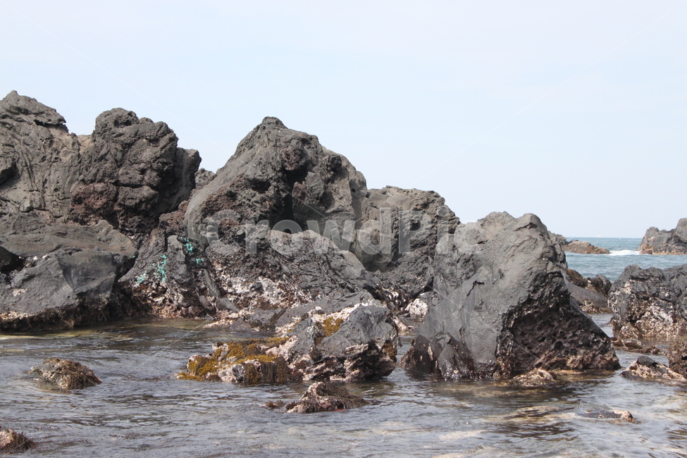 제주도,용두암,제주바다,해변,바다