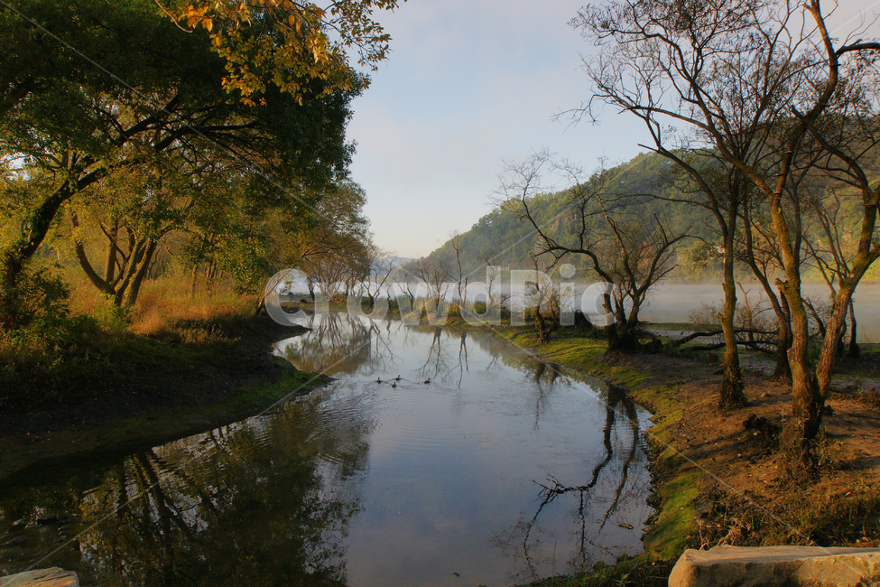 로하스,대덕구,대청댐,풍경,금강,가을,계절,fall,autumn,season,자연,풍경,nature,landscape,ditch,도랑