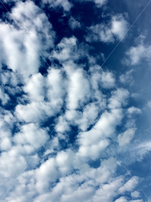하늘,풍경,구름,landscape,가을,자연,풍경,nature,landscape,sky,azure sky,푸른 하늘,outdoors,옥외