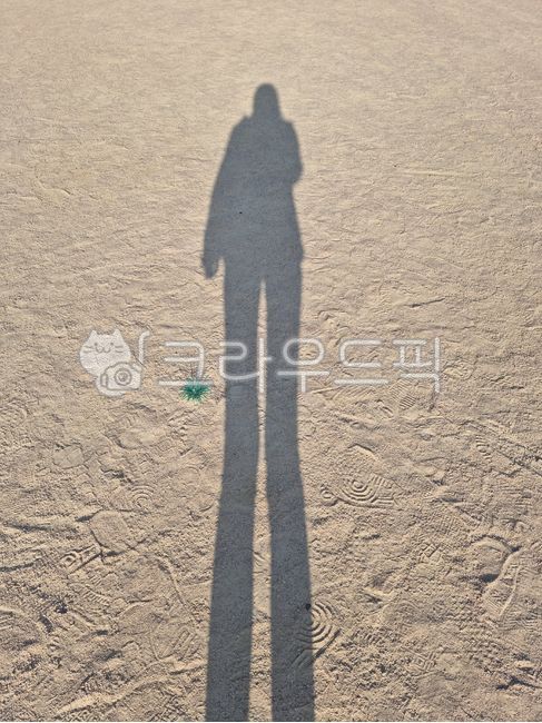 human shadow,shadow,nature,soil,brown,Playground,outdoor,sand,standing,Beach,sandy beach,person,silhouette