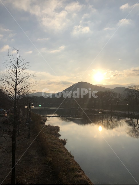 담양,아침,배경,배경화면,자연,힐링