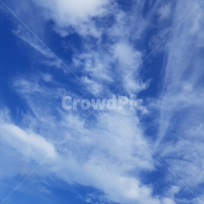 nature,자연,sky,하늘,푸른하늘,outdoors,옥외,azuresky