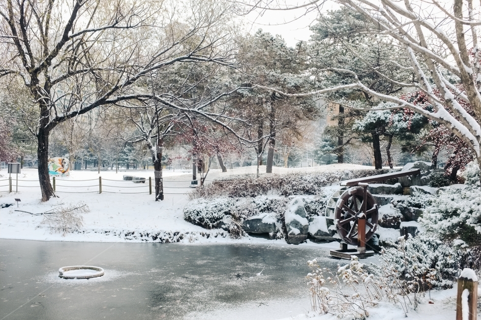 겨울,물레방아,12월,한국,정겨움,겨울,계절,winter,season,자연,풍경,nature,landscape,outdoors,옥외,storm,폭풍,snow,눈,blizzard,눈보라