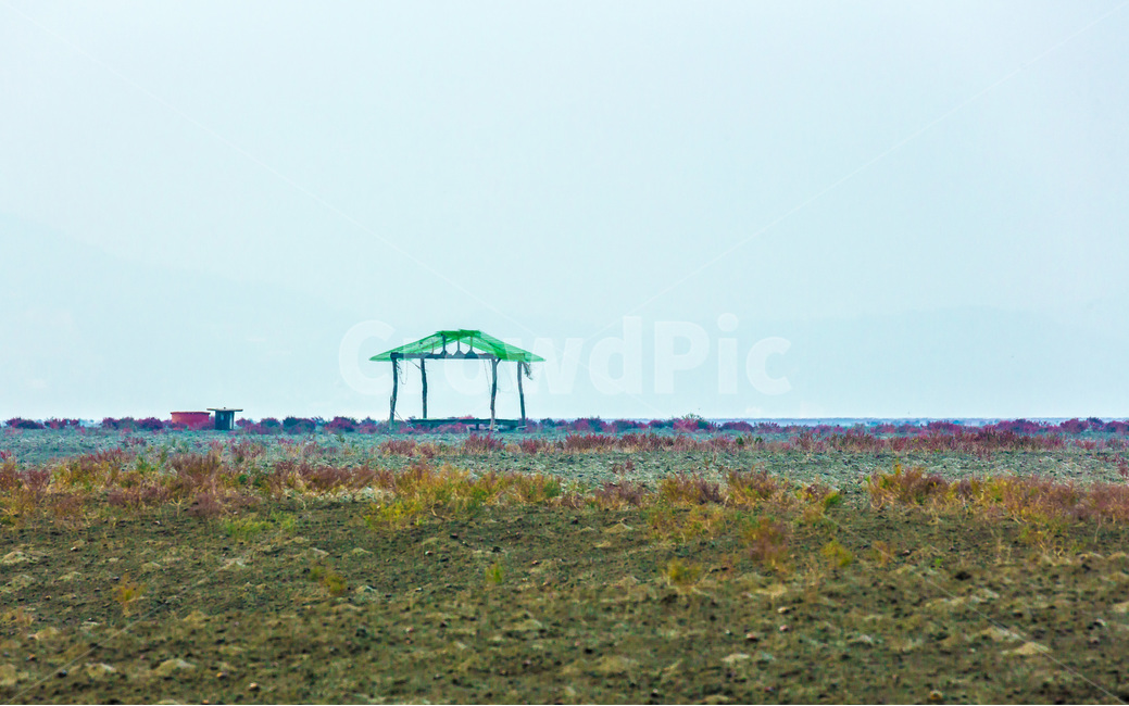 영종도,갯벌,함초,오두막,생존,환경,자연,풍경,nature,landscape,한국자연풍경,한국자연경관,korea nature landscape,gazebo,전망대
