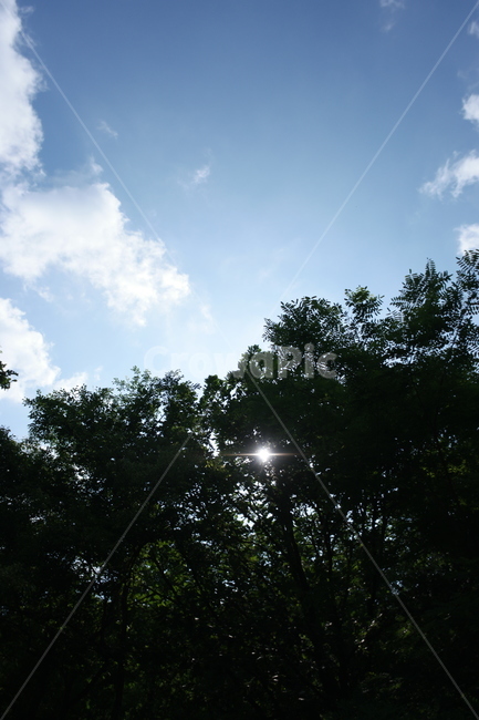 풍경,하늘,구름,햇빛,나무,파란하늘,자연,풍경,nature,landscape,light,빛,flare,플레어