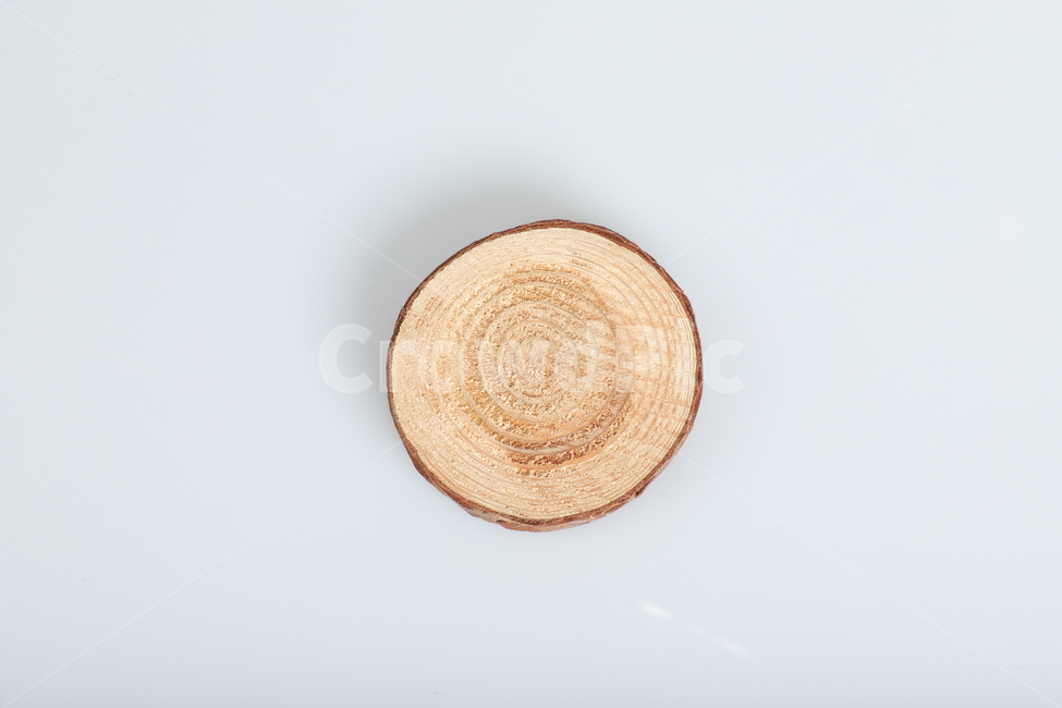 쇼핑몰,나무,디자인,소품,인테리어,광고,사물,물건,오브젝트,thing,object,matter