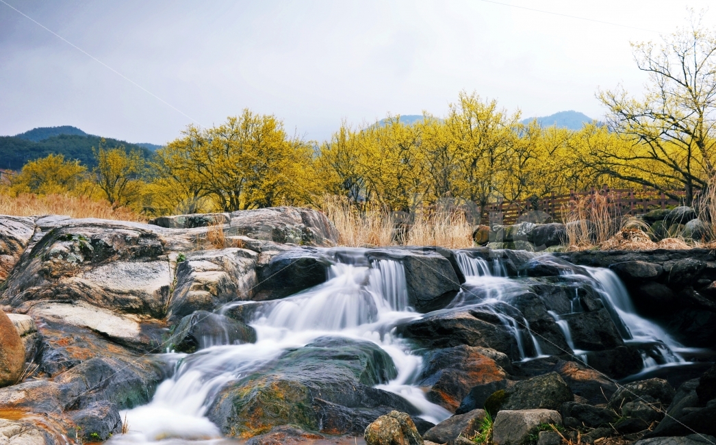	전북,구례,반곡마을,산수유마을,산수유축제,계곡,장노출,산수유,자연,풍경,nature,landscape,봄,계절,spring,season,water,물,outdoors,옥외,river,강,waterfall,폭포