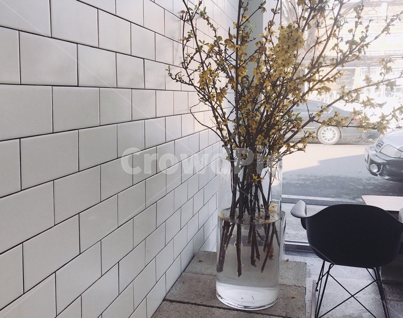 개나리꽃,드라이플라워,화병,개나리,노란색,꽃,색감,감성,자연,film,sensible,plants,feeling,nature