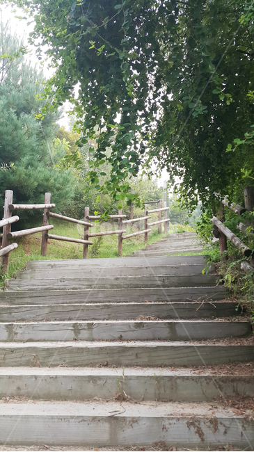 산책,계단,울타리,오르다,오름,등산,나무,산,garden,정원,staircase,arbour,정자,자연,풍경,nature,landscape,outdoors,옥외