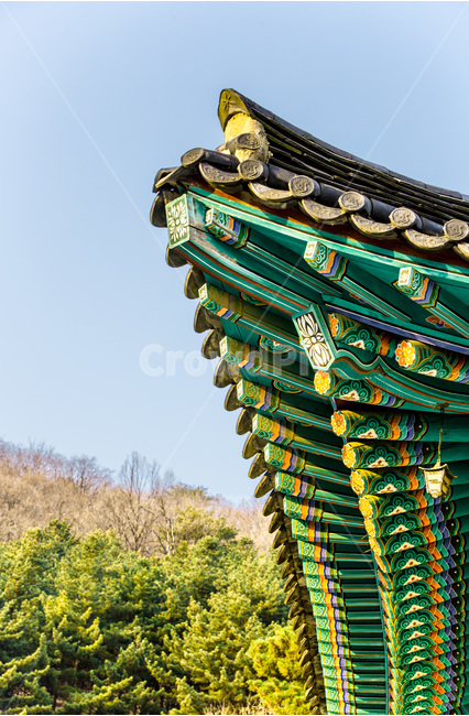 단청,기와,선,패턴,감성,한국전통,한국문화,korean traditional,korean culture,건축물,건물외관,exterior,building,structure,architecture,construction