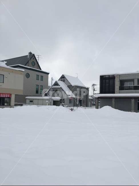nature,weather,날씨,자연,눈,겨울,눈사람,삿포로,겨울,계절,winter,season