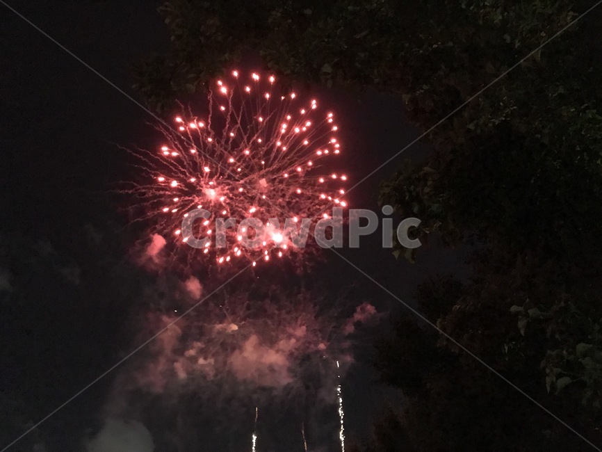 불꽃놀이,인공,빨간색,꽃,불꽃,이쁜,비싼,fireflower,flower,fire
