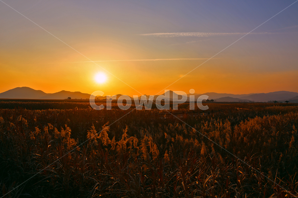 노을,갈대,가을,풍경,일몰,가을,계절,fall,autumn,season,자연,풍경,nature,landscape,outdoors,옥외,dawn,새벽,red sky,붉은 하늘,sunset,sky,하늘,dusk,황혼,light,빛,flare,플레어,sunlight,햇빛