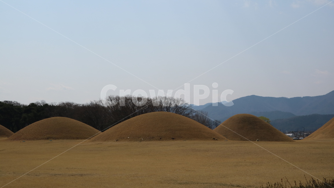 하늘,자연,풍경,한국,경주,언덕,여행,나무,산,나뭇가지,전경,잔디,전통,역사,자연,풍경,nature,landscape,grassland,목초지,field,들,outdoors,옥외,mound,투수판