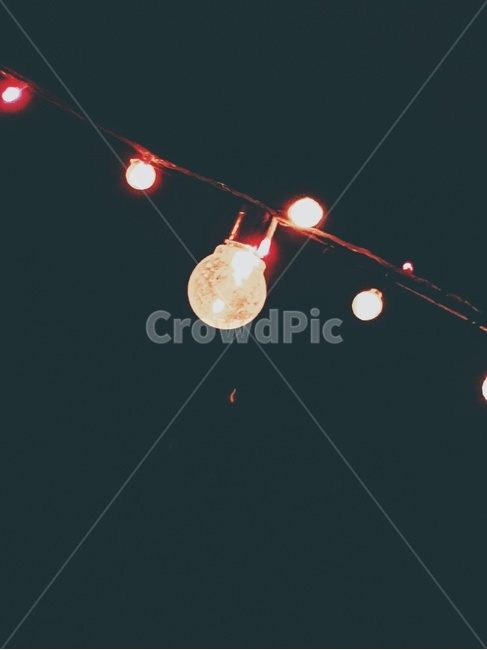 조명,빛,전구,조형물,밤,야경,밤,풍경,nightscape,night,landscape,light