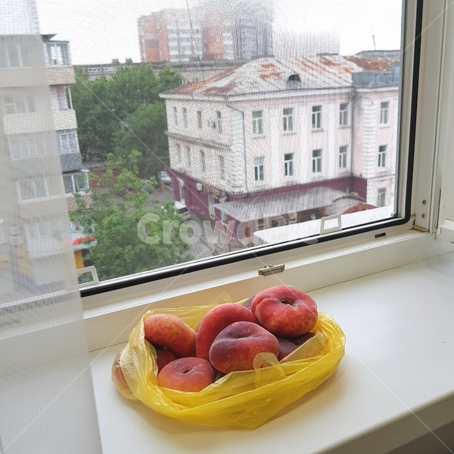 복숭아,납작복숭아,유럽복숭아,peach,donutpeach,도넛복숭아