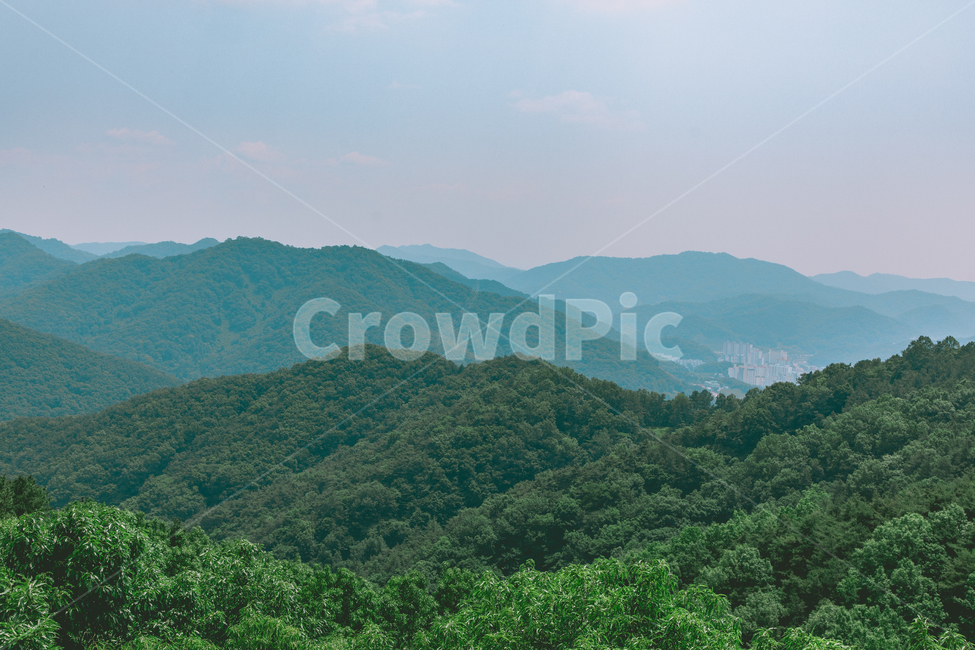 자연,숲,정상,산세,풍경,나무,여름,nature,outdoors,전라도,광주,무등산,자연,풍경,nature,landscape,옥외,hill,언덕