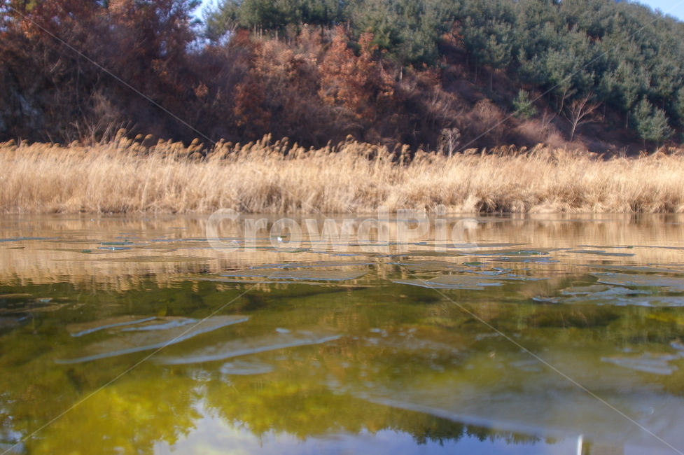 겨울,풍경,야외,outdoors,옥외,nature,자연,water,물,얼음,자연,풍경,nature,landscape