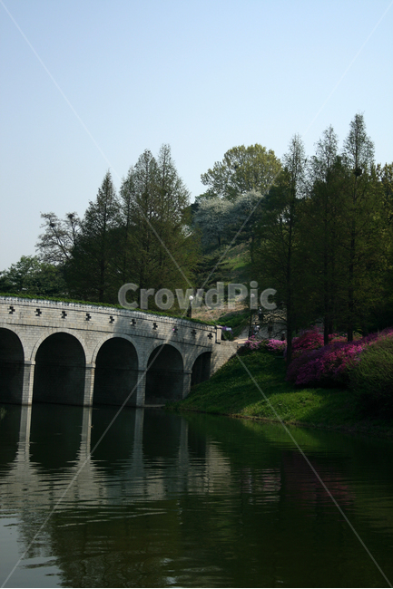 호수,다리,봄,봄날,봄풍경,감성,spring,flower,공원,풍경,식물,새싹,잎,초록,꽃,봄,계절,spring,season,자연,풍경,nature,landscape,water,물,outdoors,옥외