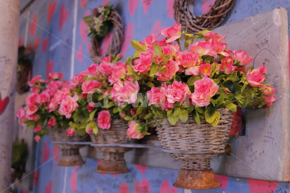 식물,plant,꽃,화분,벽걸이,꽃,flower