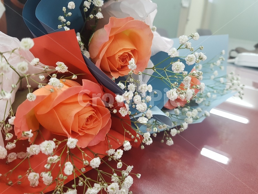 장미,식물,자연,꽃,꽃다발,색감,감성,nature,flower,plants,rose