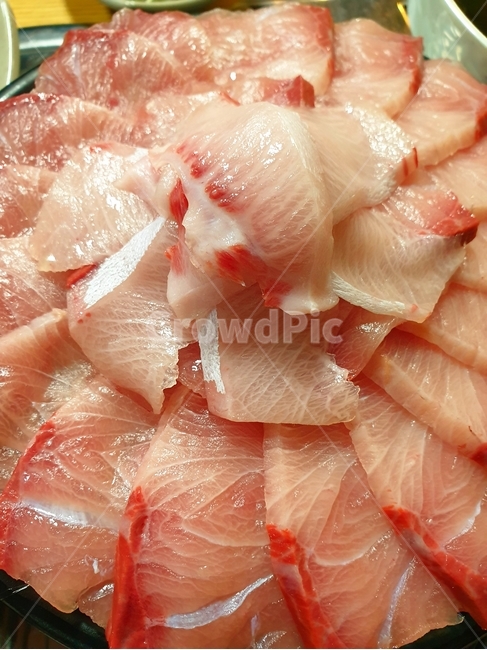 음식,방어,대방어,생선,어류,횟감,회,요리,음식,식재료,요리,food,cook,meal,dishes,food reserves,수산물,해산물,fishery products,seafood